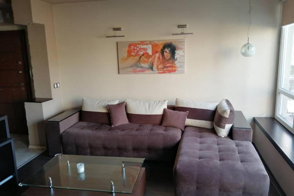 Тристаен Апартамент В Центъра На София Appartement